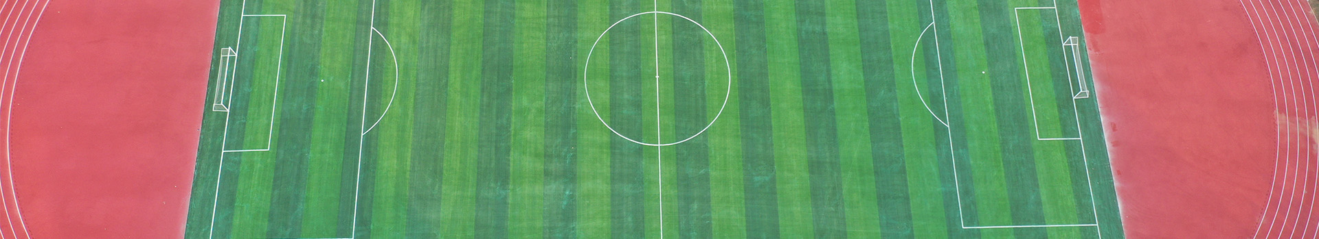 Stadium Grass