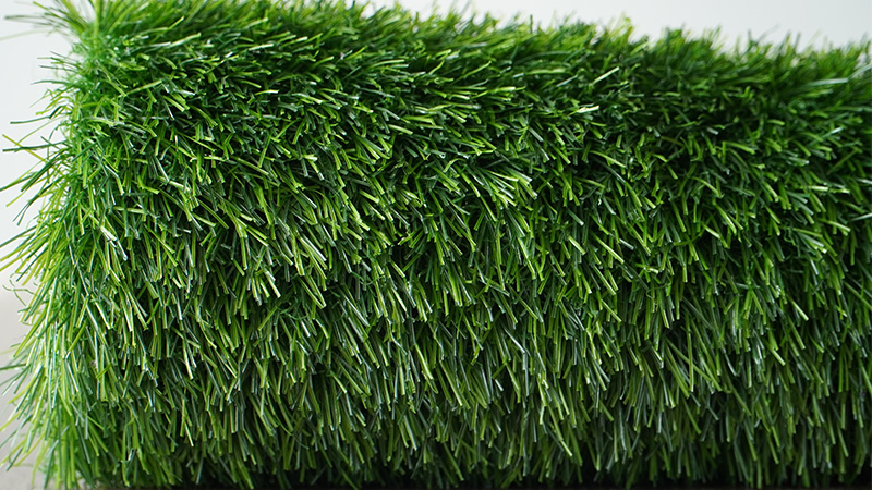 grass sample