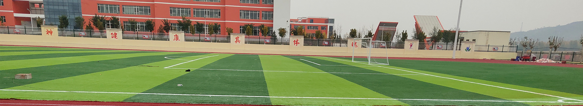 Synthetic Turf